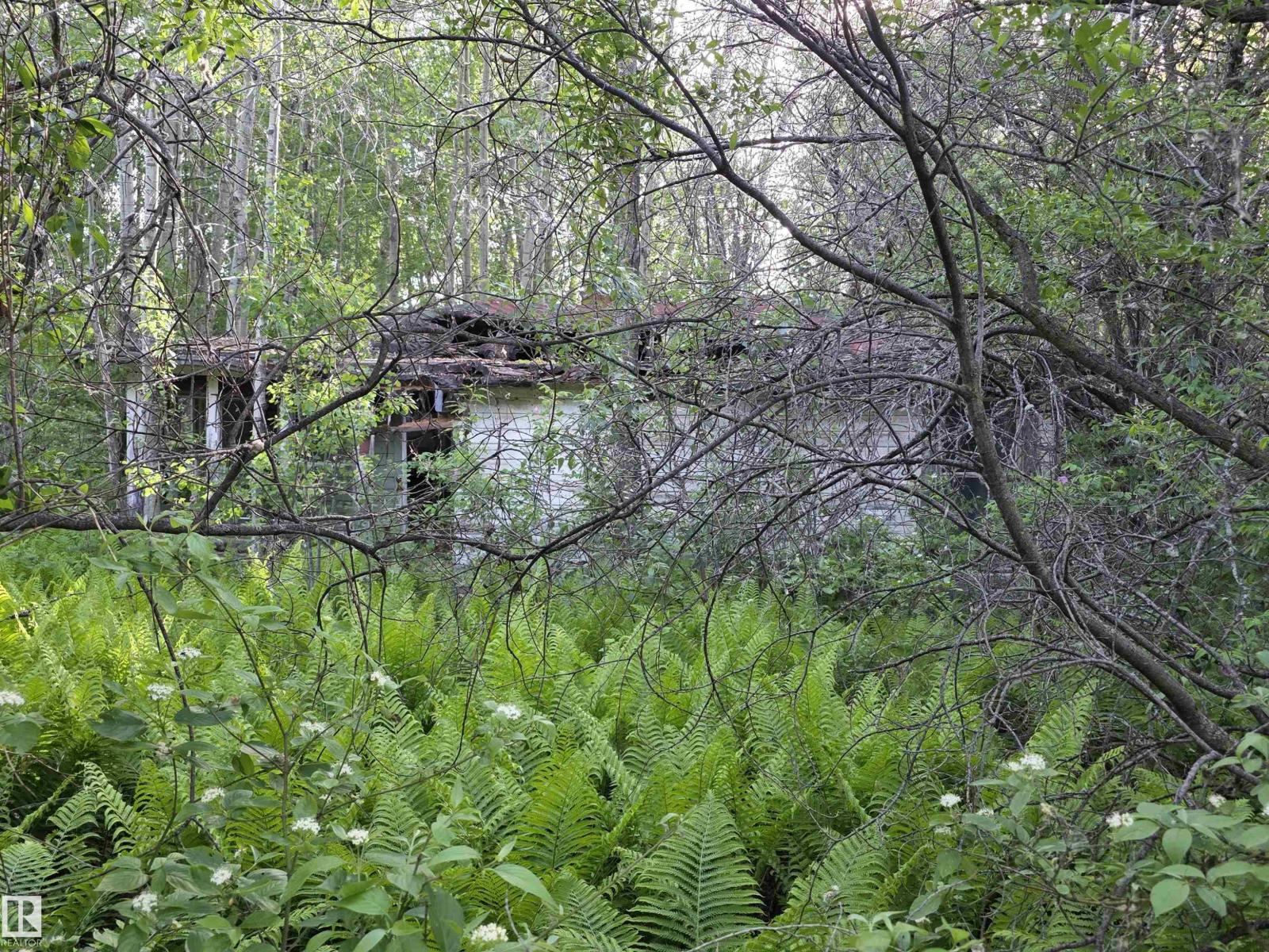 10035 Hwy 13, Rural Wetaskiwin County, Alberta  T0C 2V0 - Photo 8 - E4441178