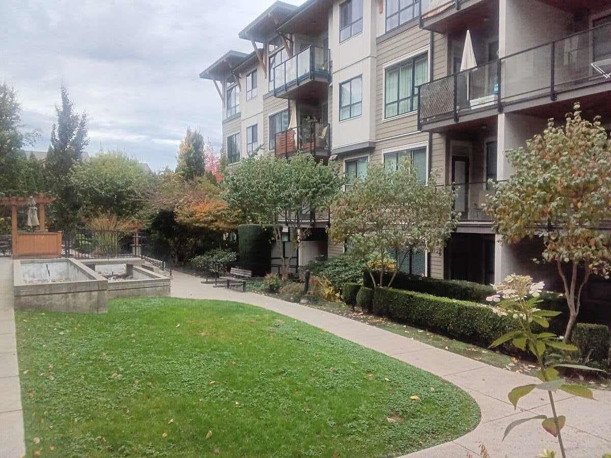 205 15388 105 Avenue, Surrey, British Columbia  V3R 0C4 - Photo 24 - R3066952