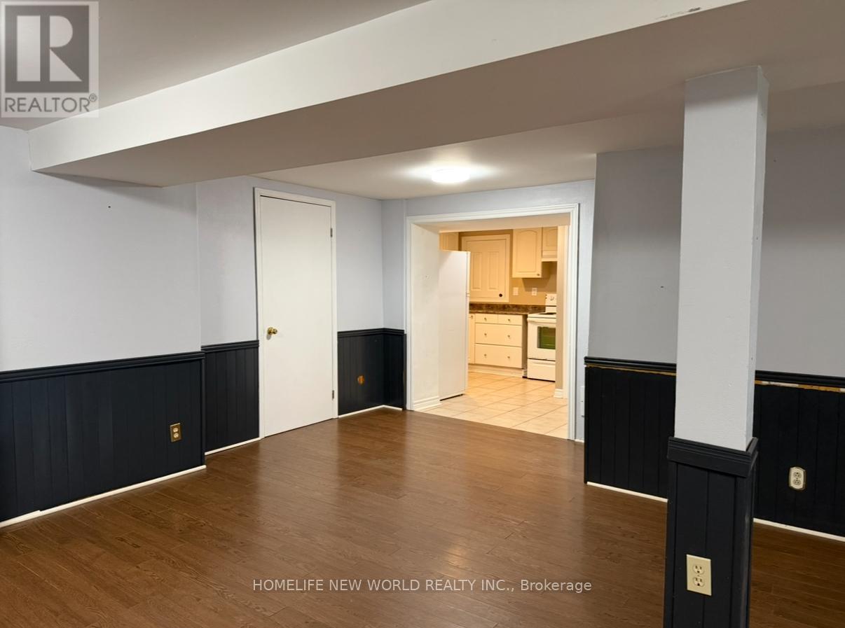 Lower W/o - 252 Osmond Crescent, Newmarket, Ontario  L3Y 7L2 - Photo 4 - N12684854