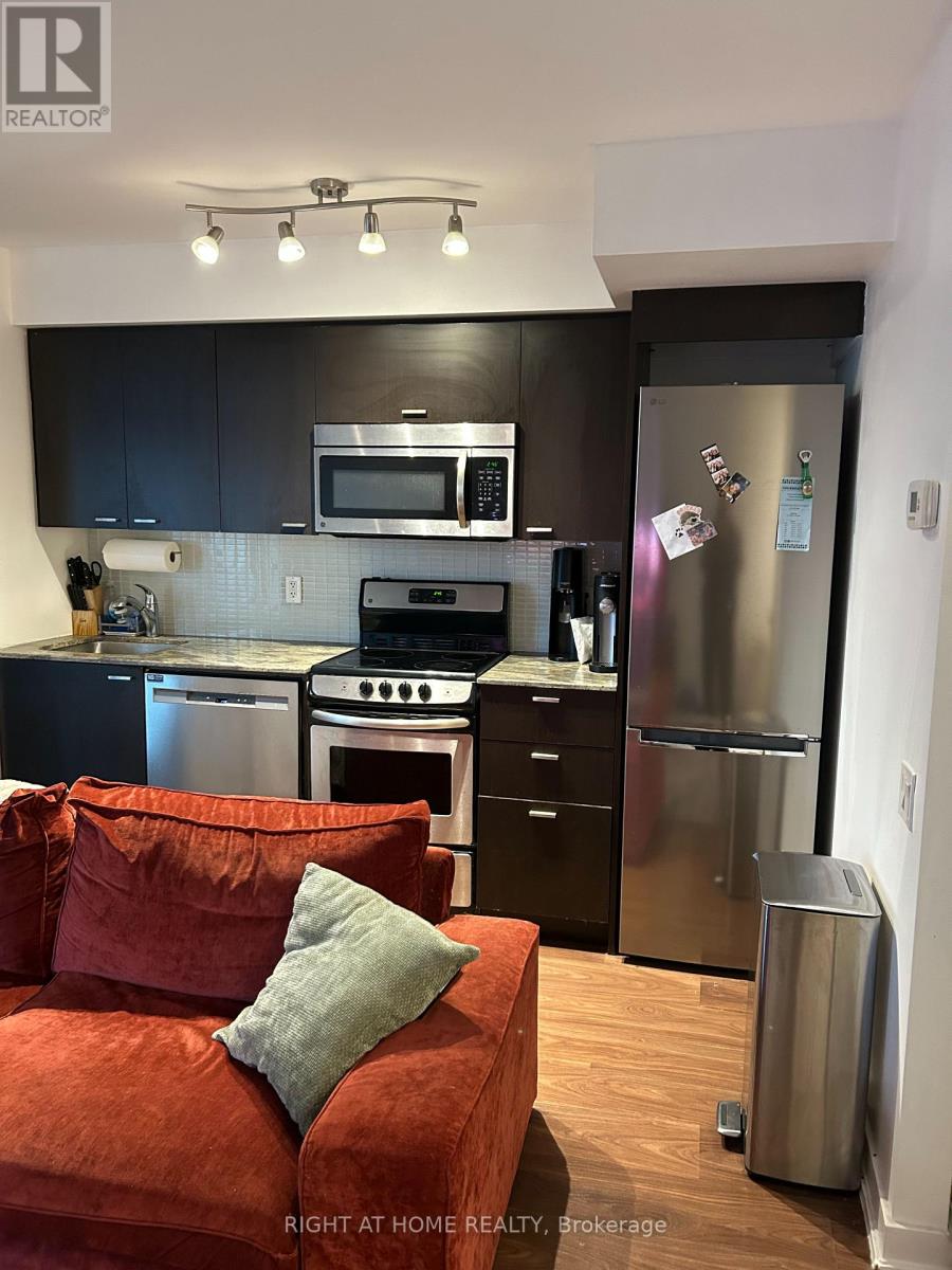 232 - 78 Tecumseth Street, Toronto, Ontario  M5V 0A9 - Photo 4 - C12727680