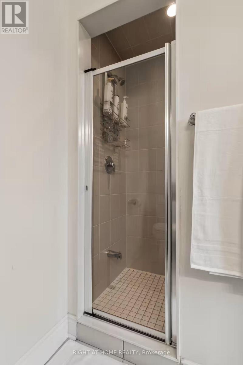 244 Paradelle Drive, Richmond Hill, Ontario  L4E 0E4 - Photo 37 - N12727686