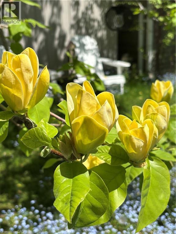 139 Campbell Avenue W, Campbellville, Ontario  L0P 1B0 - Photo 28 - 40793603