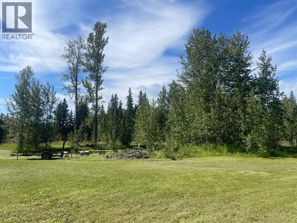 6432 17 Avenue, Edson, Alberta  T7E 1S4 - Photo 4 - A2124317