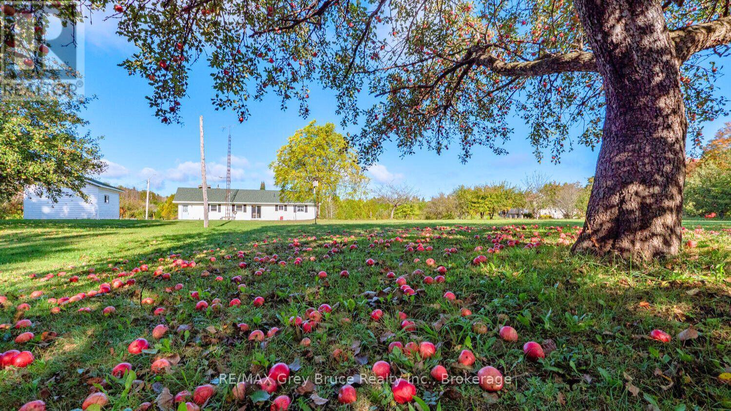 26 Maple Golf Crescent, Northern Bruce Peninsula, Ontario  N0H 2R0 - Photo 31 - X12727600