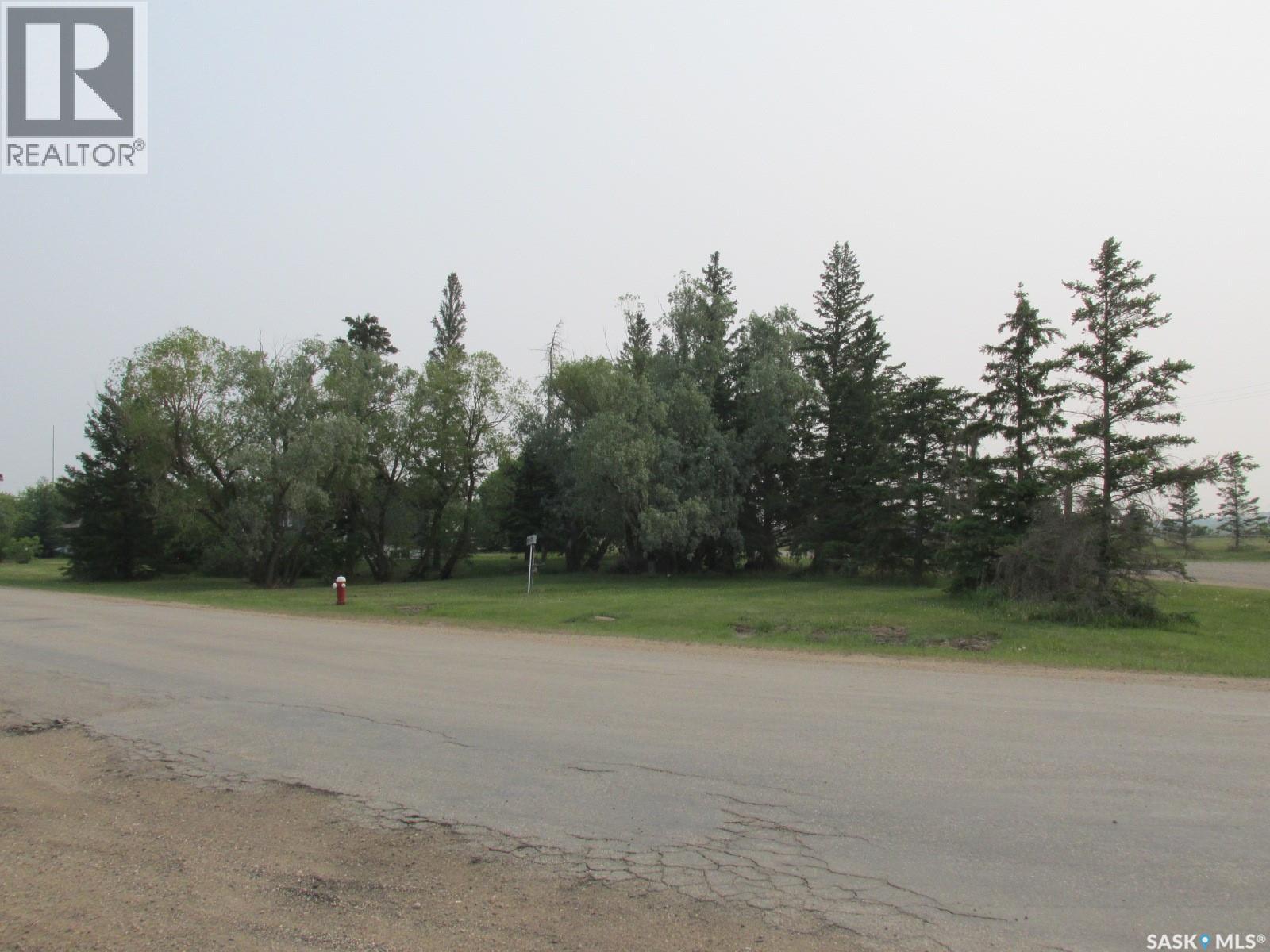 660 Park Road, Zenon Park, Saskatchewan  S0E 1W0 - Photo 41 - SK009503