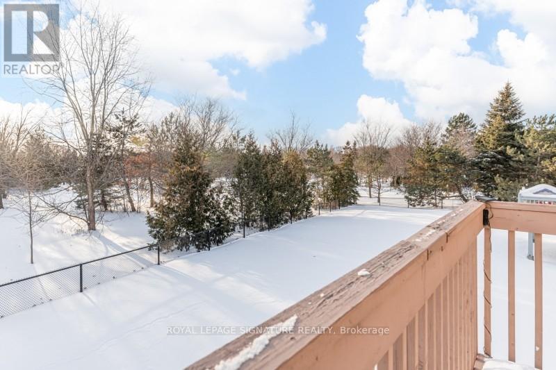140 Boake Trail, Richmond Hill, Ontario  L4B 3V8 - Photo 49 - N12727812