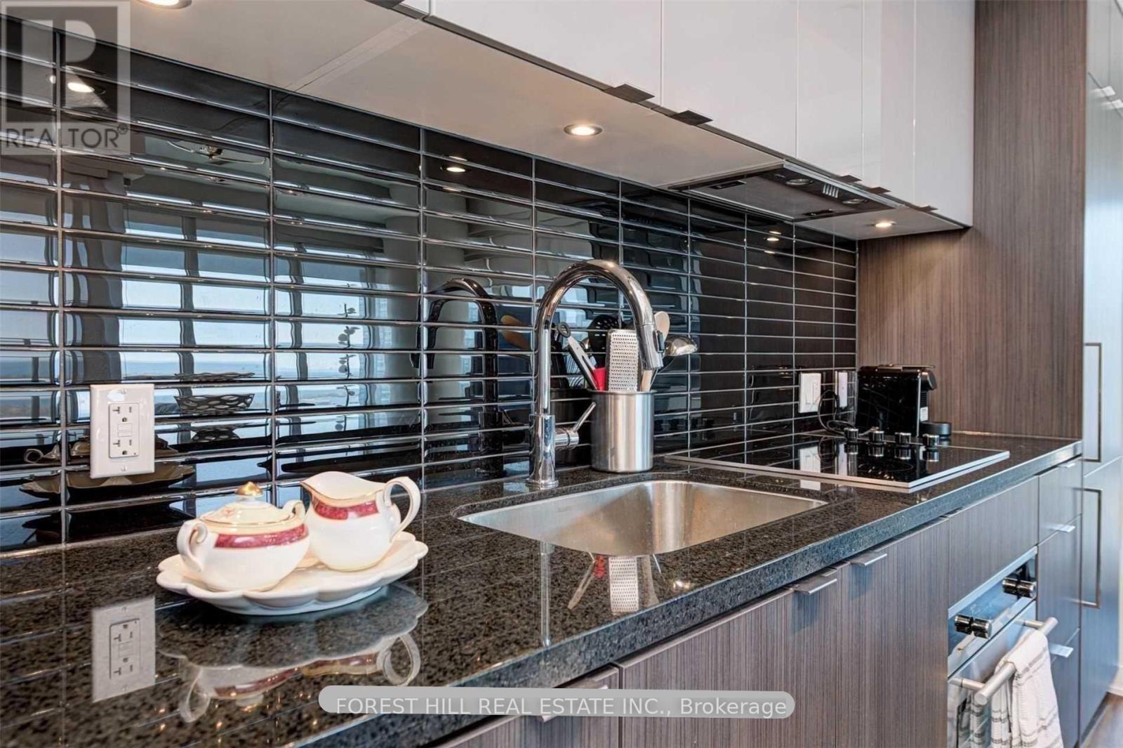 4102 - 115 Blue Jays Way, Toronto, Ontario  M5V 0N4 - Photo 12 - C12592540