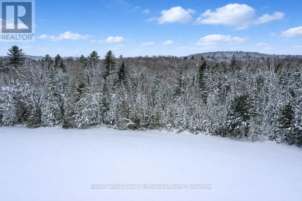 0 Echo Ridge Road, Kearney, Ontario  P0A 1M0 - Photo 2 - X12727936