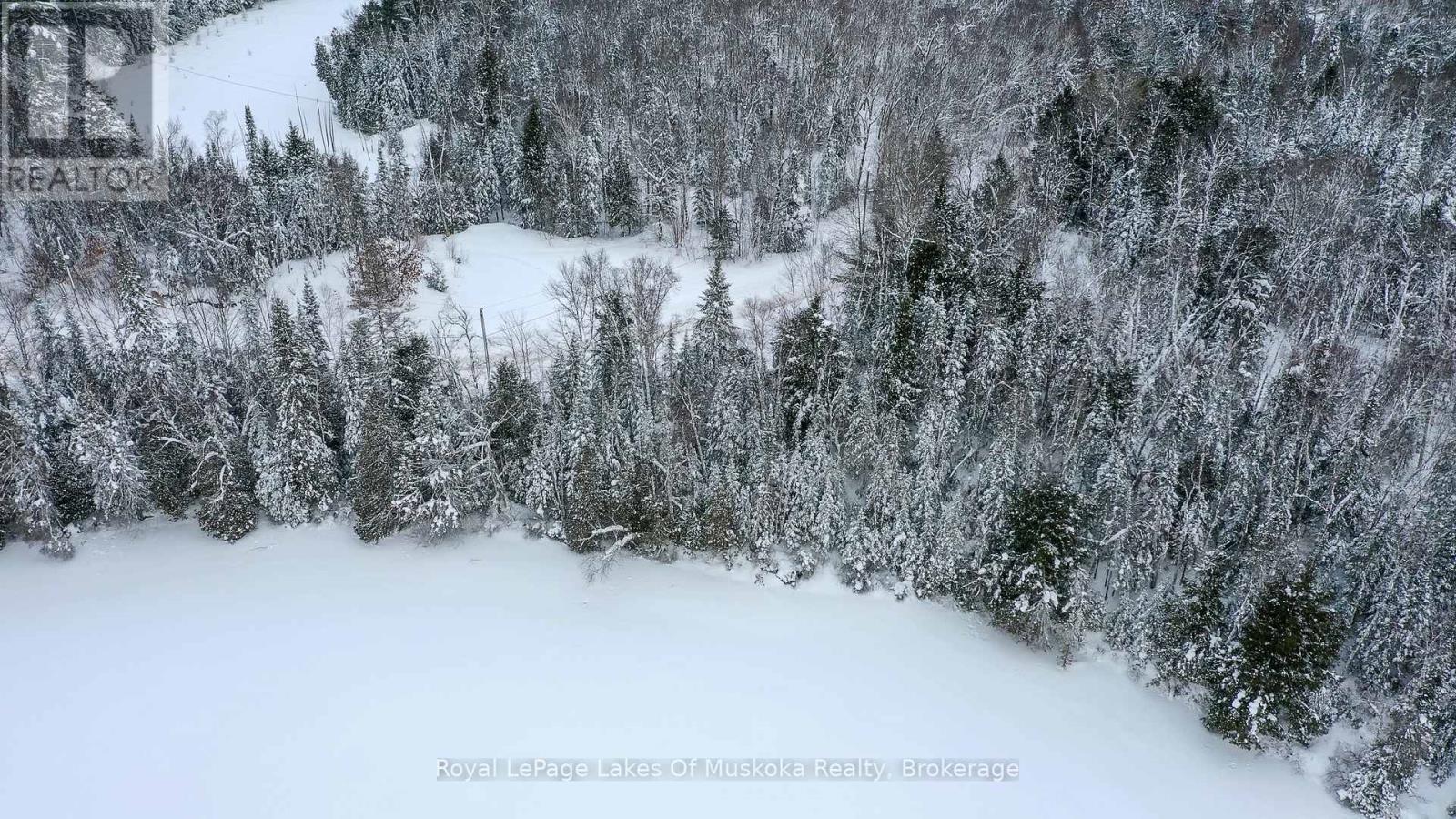 0 Echo Ridge Road, Kearney, Ontario  P0A 1M0 - Photo 3 - X12727936