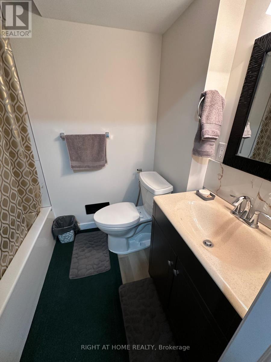 Bsmnt - 899 Kettleridge Street, London North, Ontario  N6H 0E7 - Photo 11 - X12727984