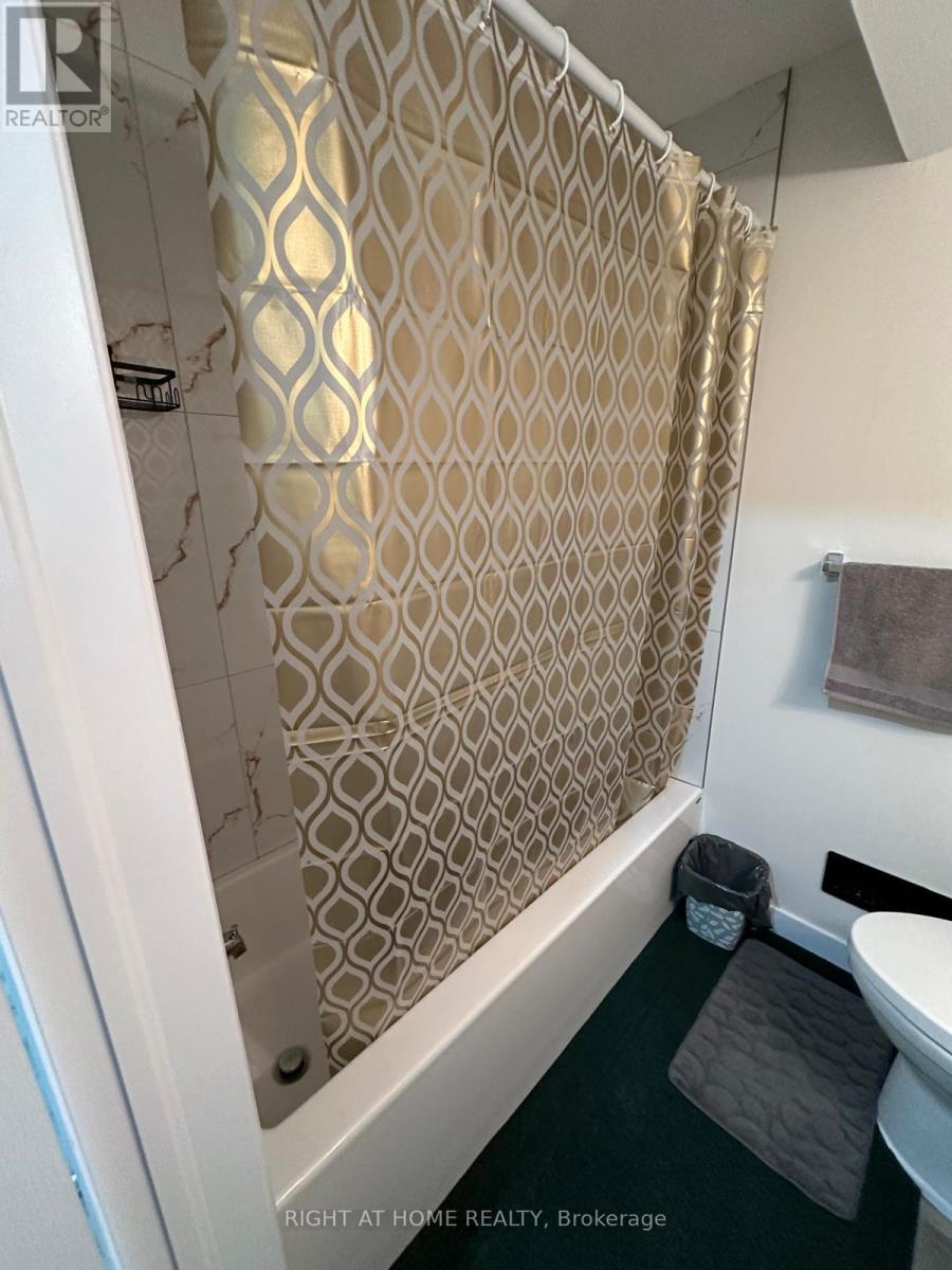 Bsmnt - 899 Kettleridge Street, London North, Ontario  N6H 0E7 - Photo 13 - X12727984