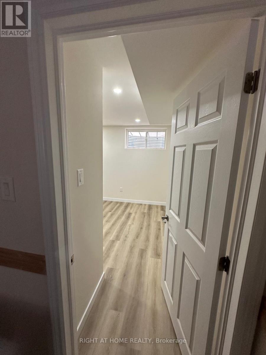 Bsmnt - 899 Kettleridge Street, London North, Ontario  N6H 0E7 - Photo 7 - X12727984