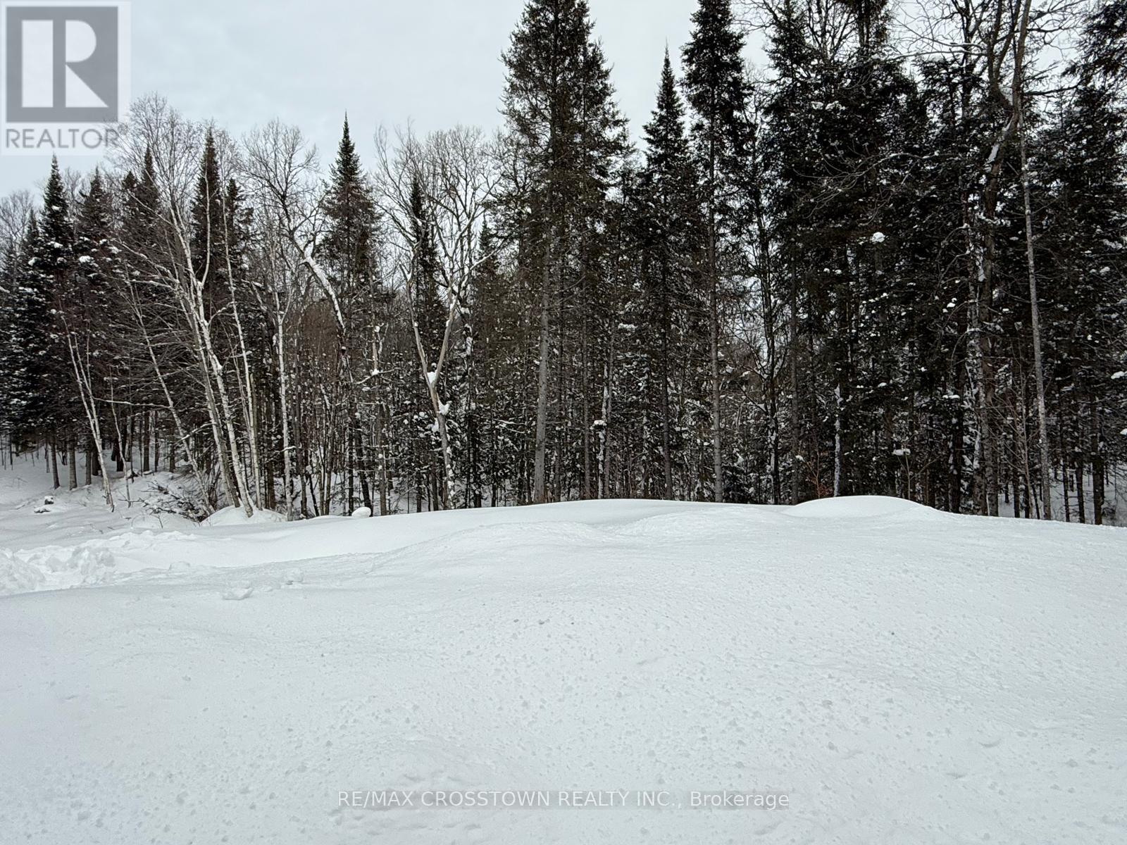 530 South Horn Lake Road, Armour, Ontario  P0A 1C0 - Photo 21 - X12728062