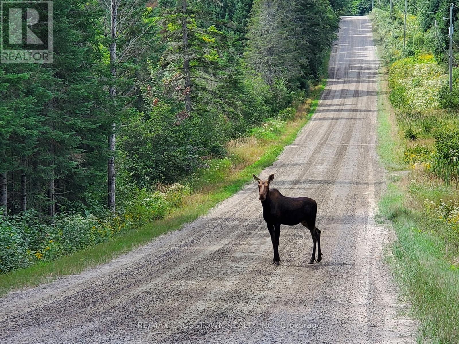 530 South Horn Lake Road, Armour, Ontario  P0A 1C0 - Photo 27 - X12728062