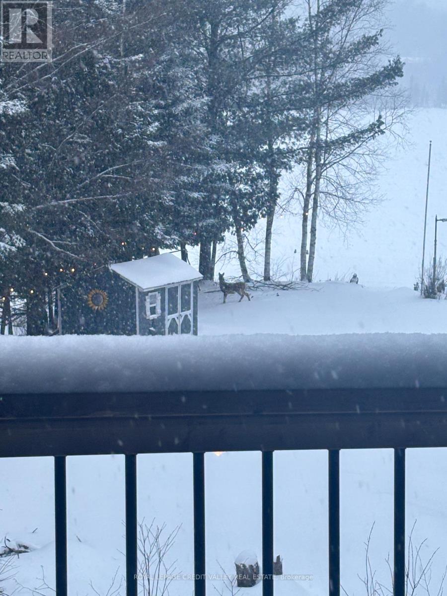 992 South Baptiste Lake Road, Hastings Highlands, Ontario  K0L 1C0 - Photo 45 - X12724702