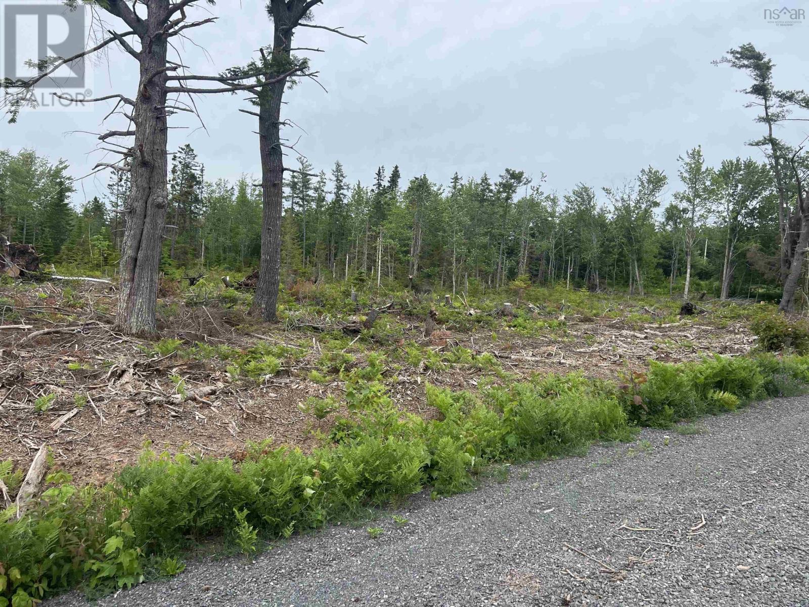 2 Priests Road, Central Caribou, Nova Scotia  B0K 1H0 - Photo 2 - 202503843