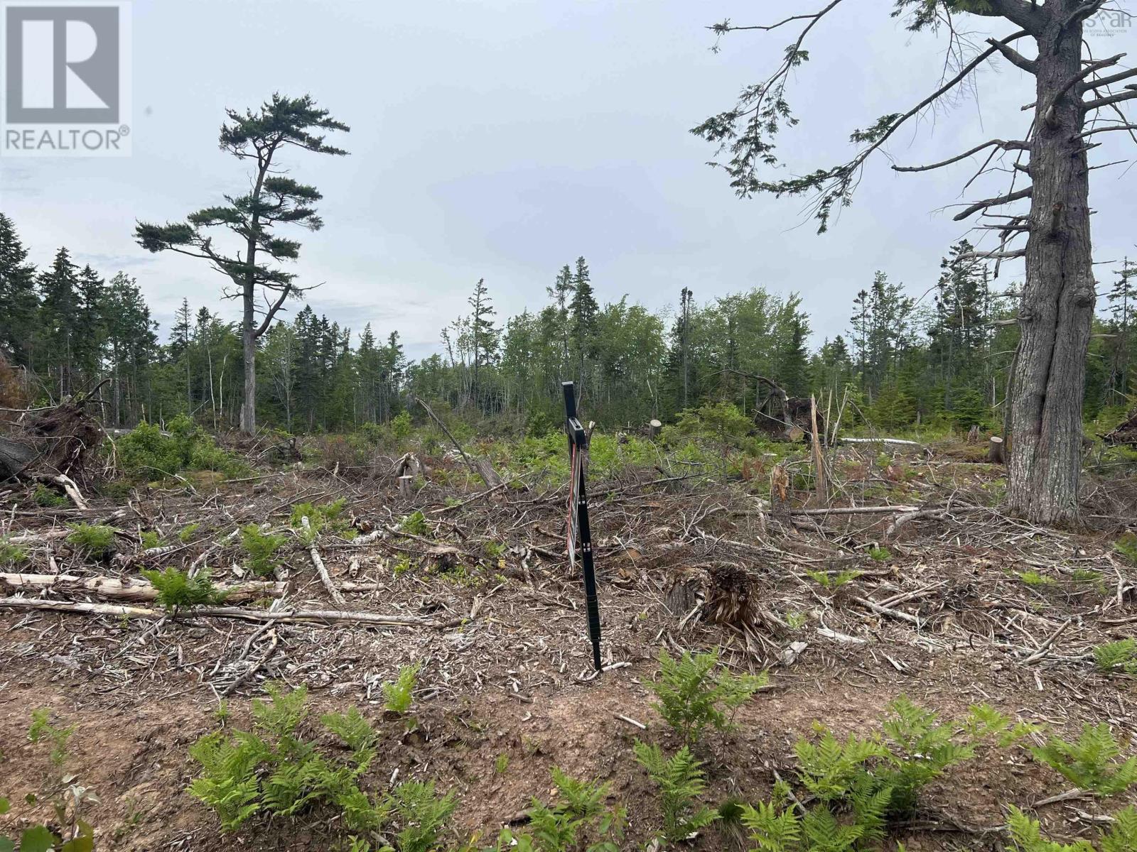 2 Priests Road, Central Caribou, Nova Scotia  B0K 1H0 - Photo 3 - 202503843