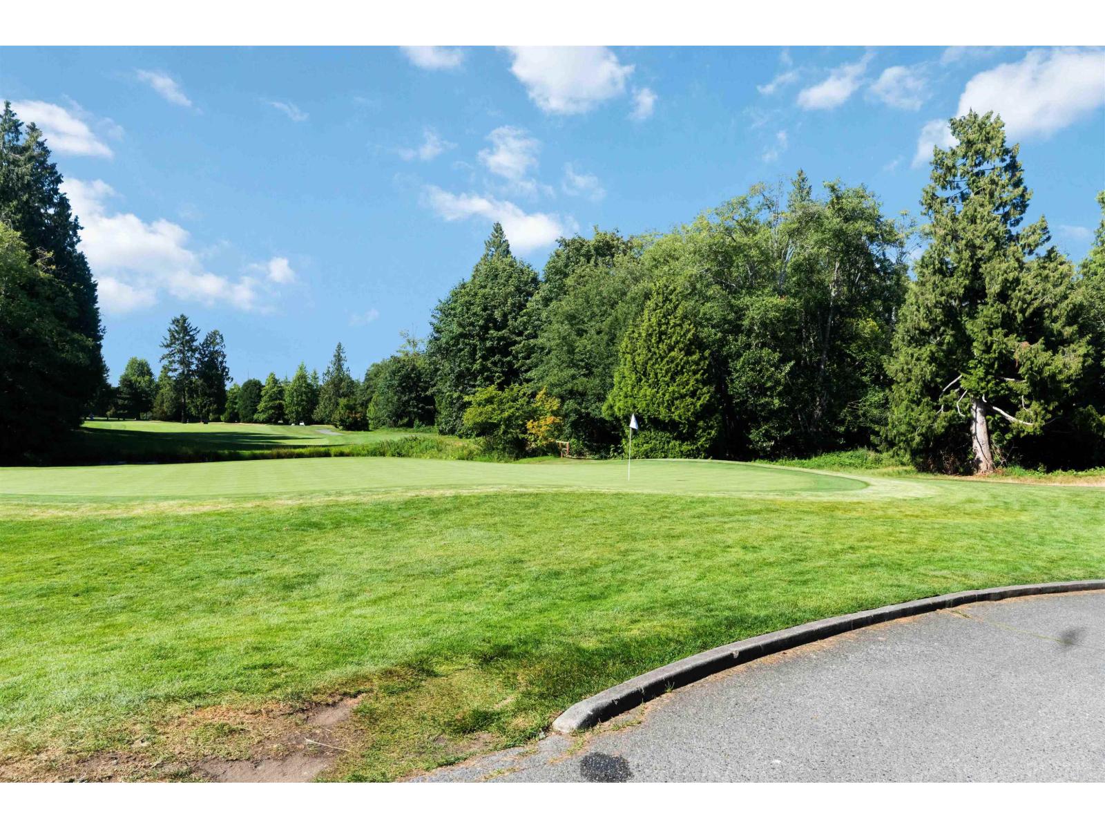 73 15677 28 Avenue, Surrey, British Columbia  V3Z 0E5 - Photo 38 - R3028146