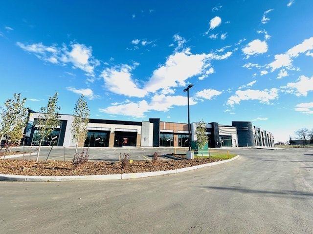 1139  103A Street SW, Edmonton, Alberta