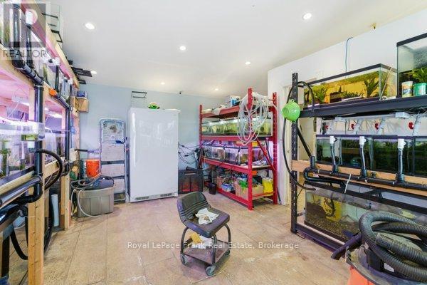 241 Bellevue Drive, Quinte West, Ontario  K8N 4Z5 - Photo 42 - X12726308