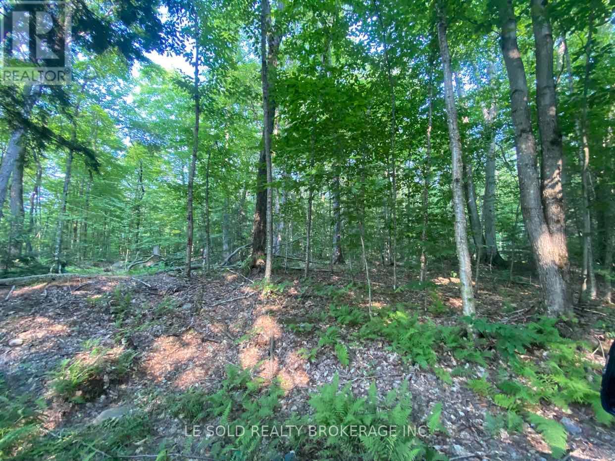 Lot # 7 - 1310 Camel Lake Road, Muskoka Lakes, Ontario  P1L 1X4 - Photo 4 - X12728322