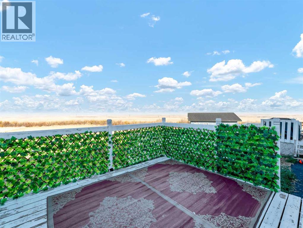 2, 12006 Range Road 43, Rural Cypress County, Alberta  T0J 1A0 - Photo 8 - A2270148