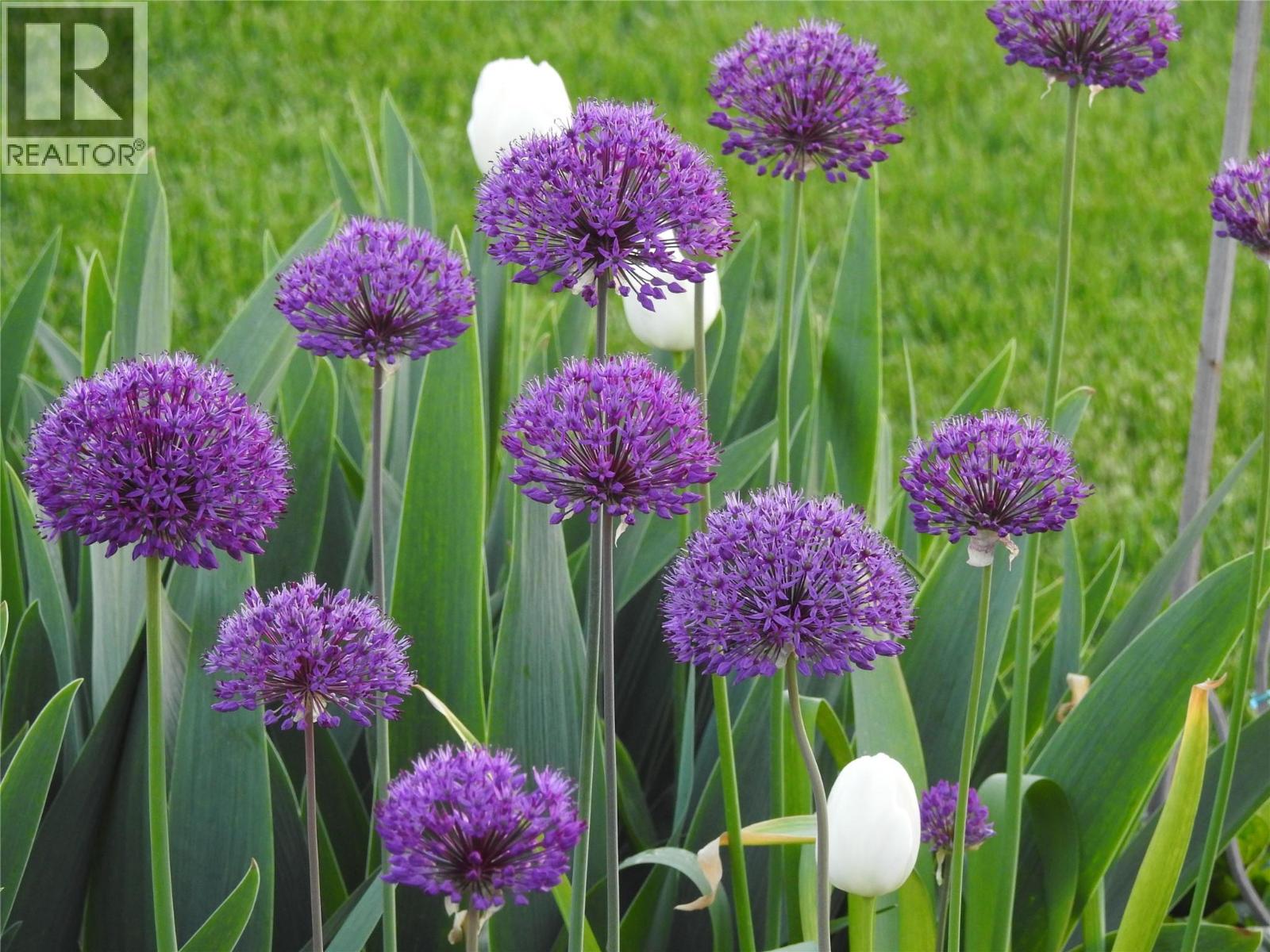 500 Mcdonald Road, Kelowna, British Columbia  V1X 3H2 - Photo 45 - 10373601