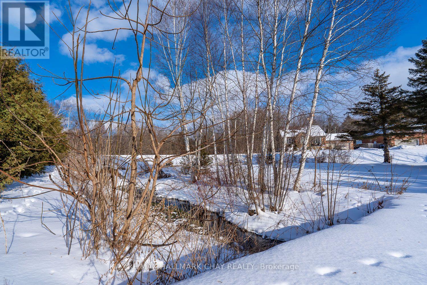 1 Burbank Circle, Adjala-Tosorontio (Everett), Ontario  L0M 1J0 - Photo 6 - N12728396