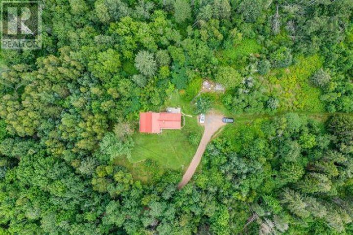 540 246 Highway, Wentworth, Nova Scotia  B0K 1V0 - Photo 32 - 202600519