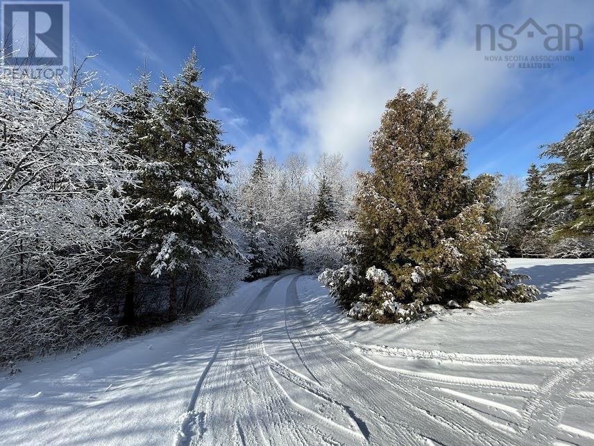 540 246 Highway, Wentworth, Nova Scotia  B0K 1V0 - Photo 31 - 202600519