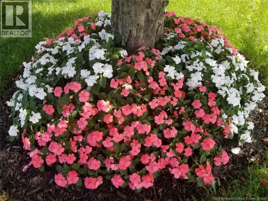 308 Buckingham Avenue, Riverview, New Brunswick  E1B 2P2 - Photo 8 - NB132681