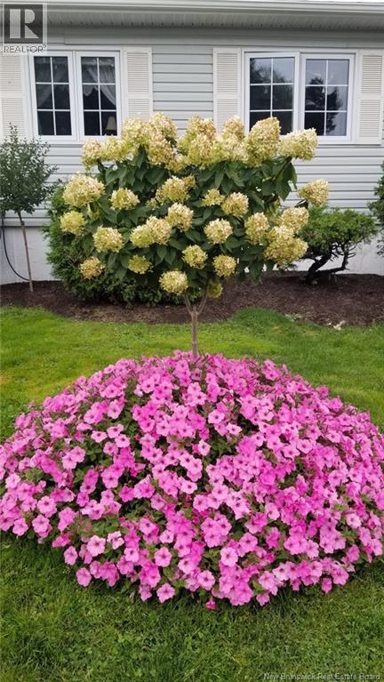 308 Buckingham Avenue, Riverview, New Brunswick  E1B 2P2 - Photo 43 - NB132681