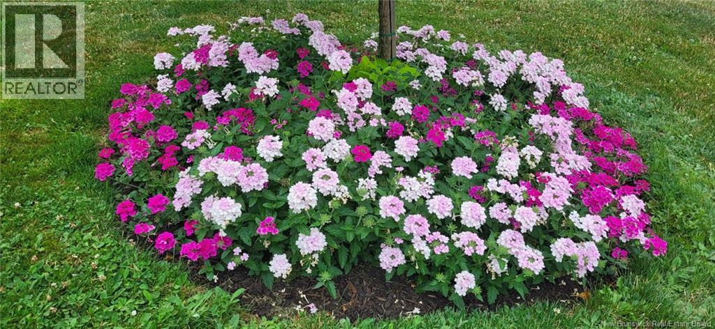 308 Buckingham Avenue, Riverview, New Brunswick  E1B 2P2 - Photo 39 - NB132681