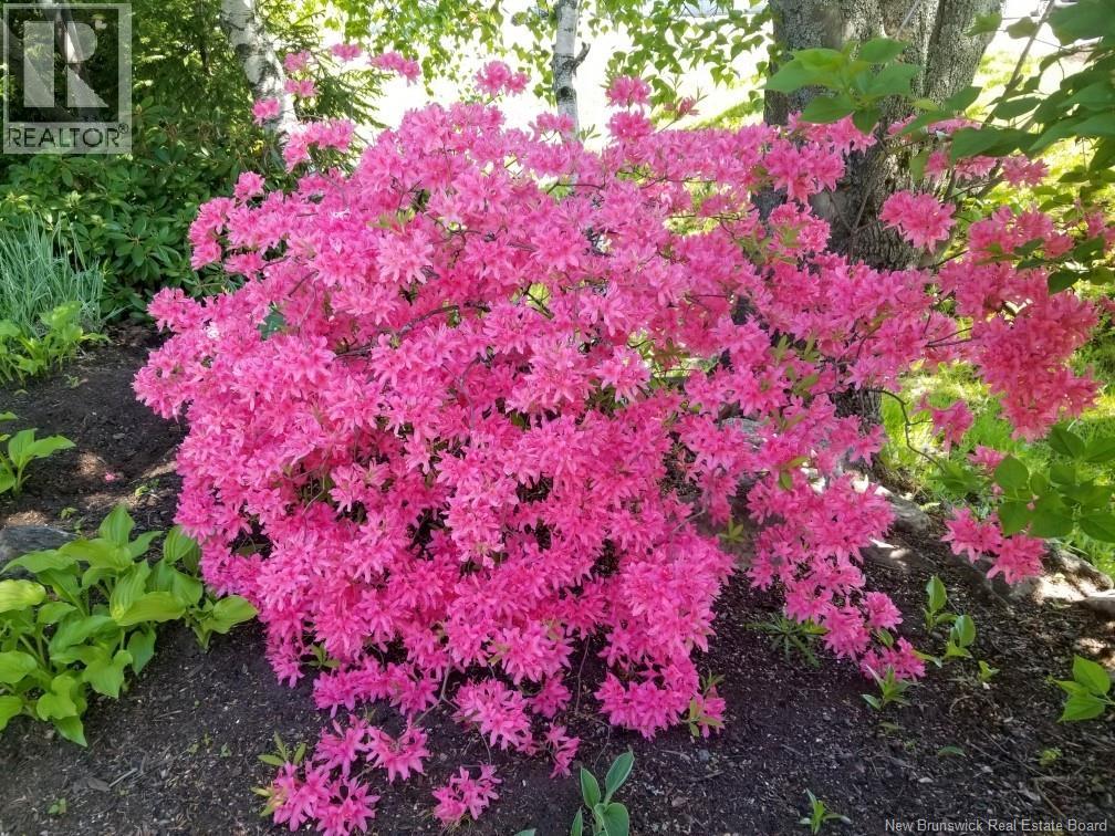 308 Buckingham Avenue, Riverview, New Brunswick  E1B 2P2 - Photo 40 - NB132681