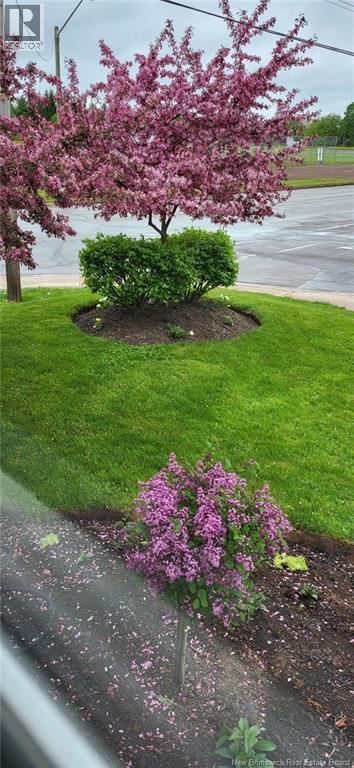 308 Buckingham Avenue, Riverview, New Brunswick  E1B 2P2 - Photo 41 - NB132681