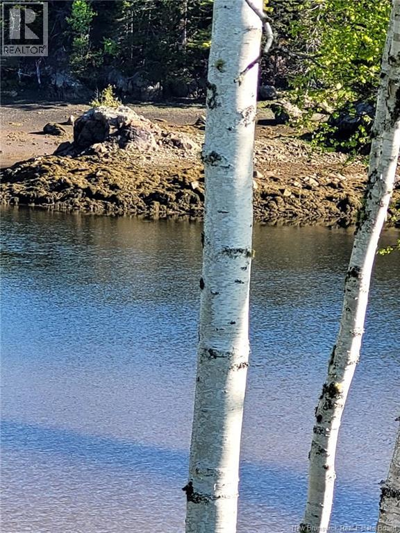 1113 Mascarene Road, Caithness, New Brunswick  E5C 2T6 - Photo 18 - NB132447