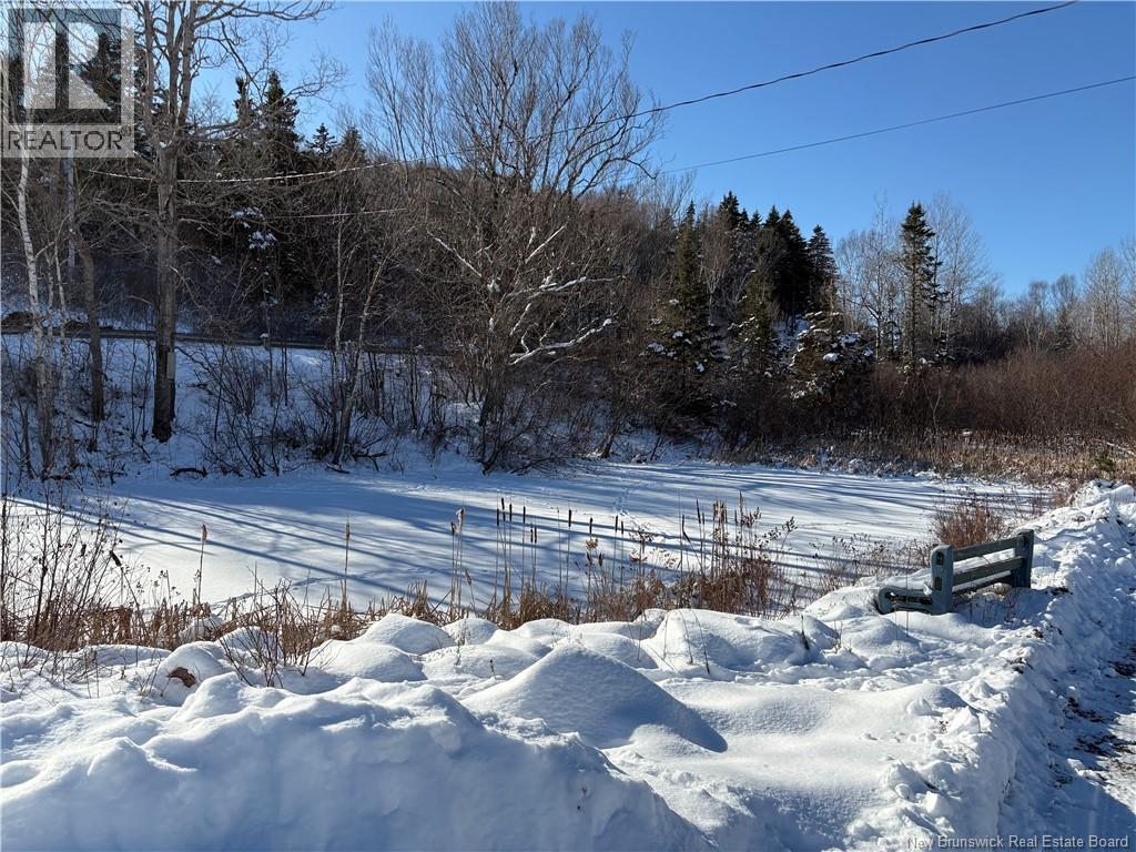 1113 Mascarene Road, Caithness, New Brunswick  E5C 2T6 - Photo 8 - NB132447