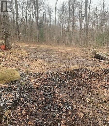 1154 Delia Road, Bracebridge, Ontario  P0B 1L0 - Photo 6 - X12728514