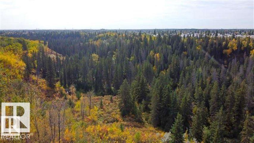 #66 2204 118 St Nw, Edmonton, Alberta  T6J 5K2 - Photo 25 - E4471063