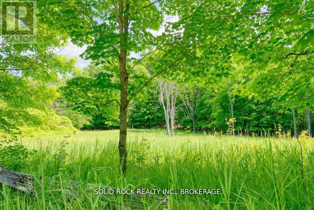 Lot 24 Lee Road, Frontenac, Ontario  K0G 1X0 - Photo 2 - X12728886