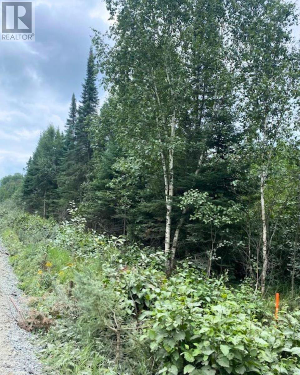 Lot 14 Jarnel Drive, Kenora, Ontario  P9N 0A9 - Photo 6 - TB252435