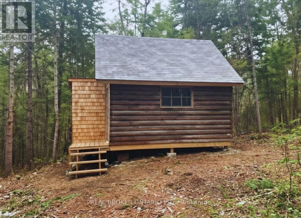 0 Bear Cave Road, Muskoka Lakes, Ontario  P0C 1J0 - Photo 3 - X12589582