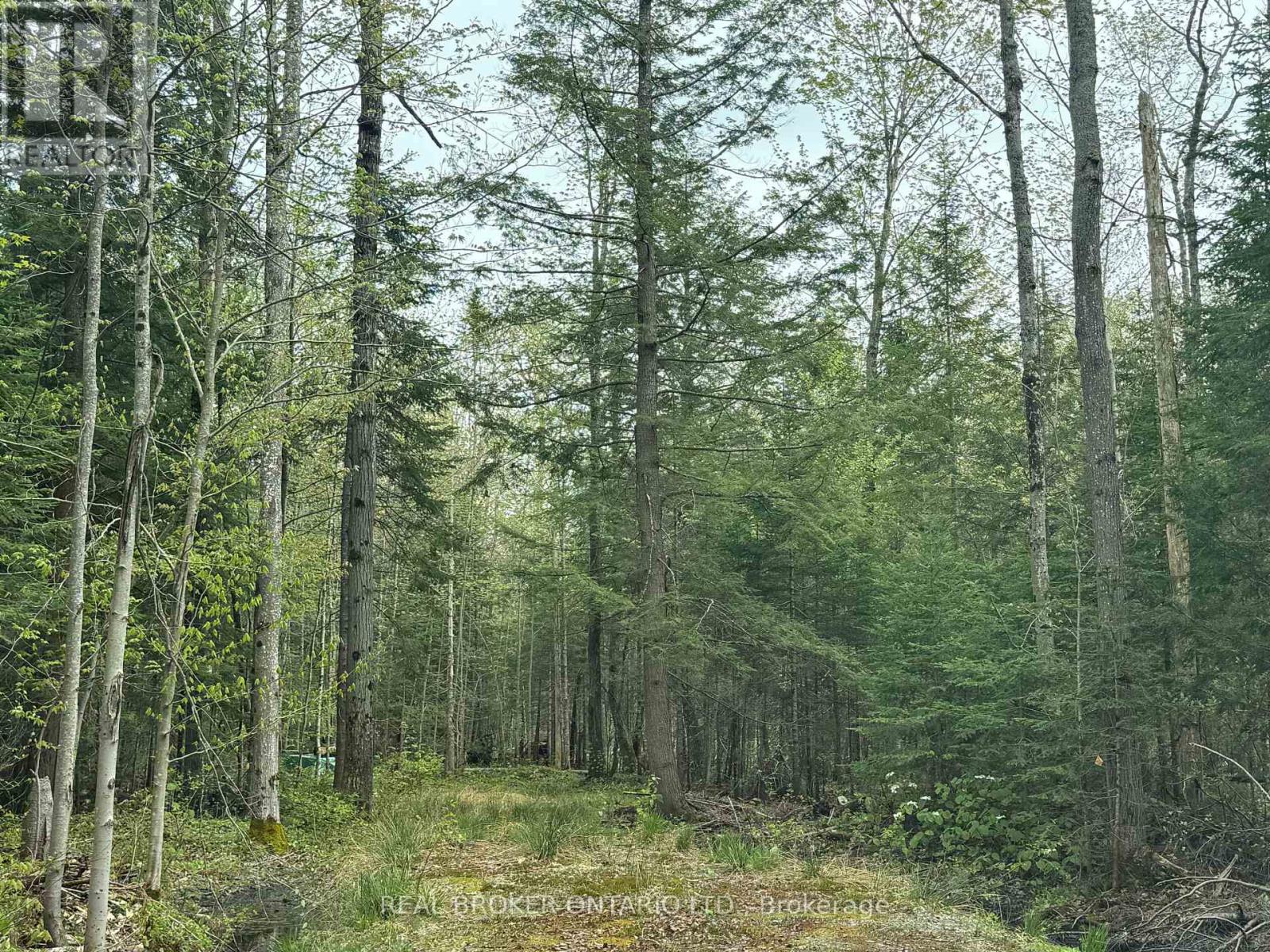 0 Bear Cave Road, Muskoka Lakes, Ontario  P0C 1J0 - Photo 10 - X12589582