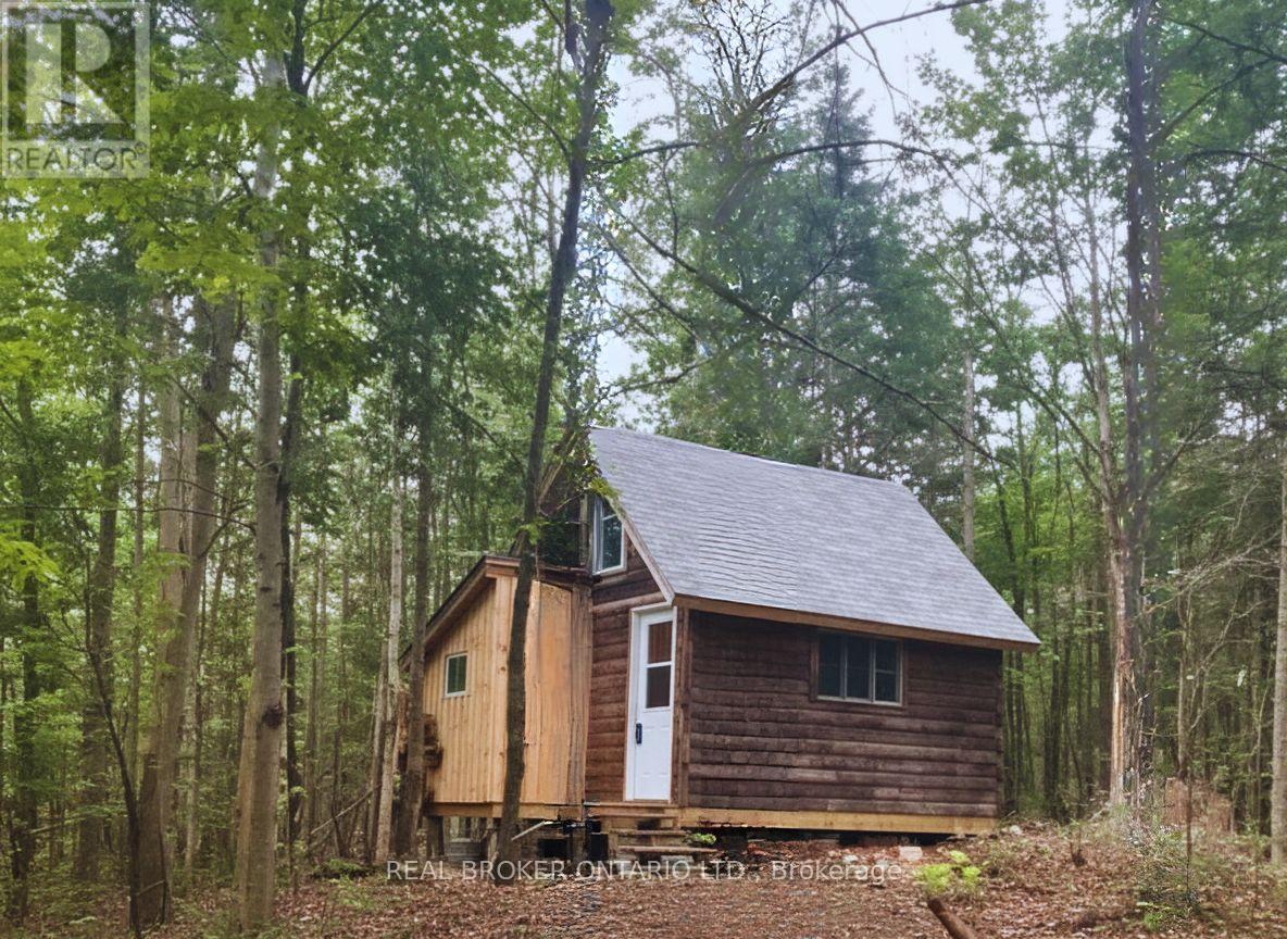 0 Bear Cave Road, Muskoka Lakes, Ontario  P0C 1J0 - Photo 2 - X12589582