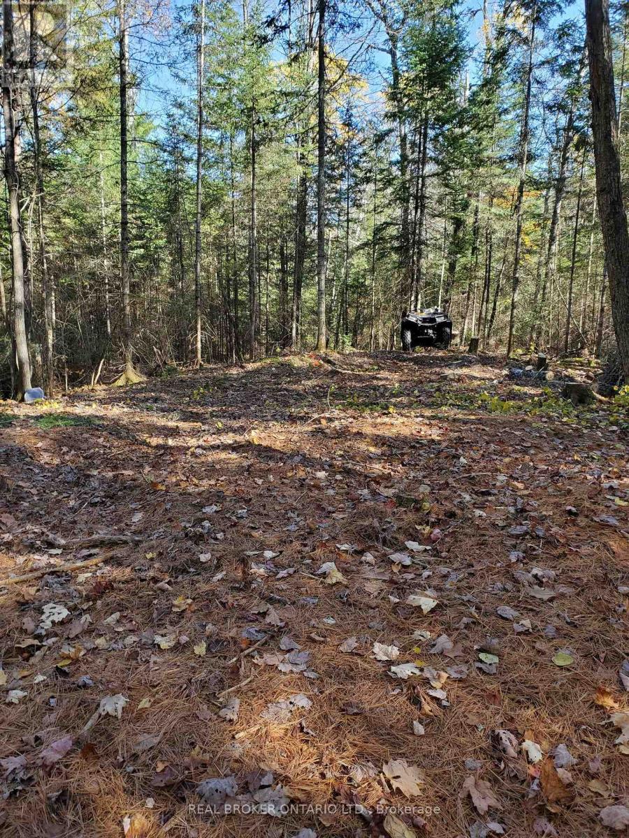 0 Bear Cave Road, Muskoka Lakes, Ontario  P0C 1J0 - Photo 11 - X12589582