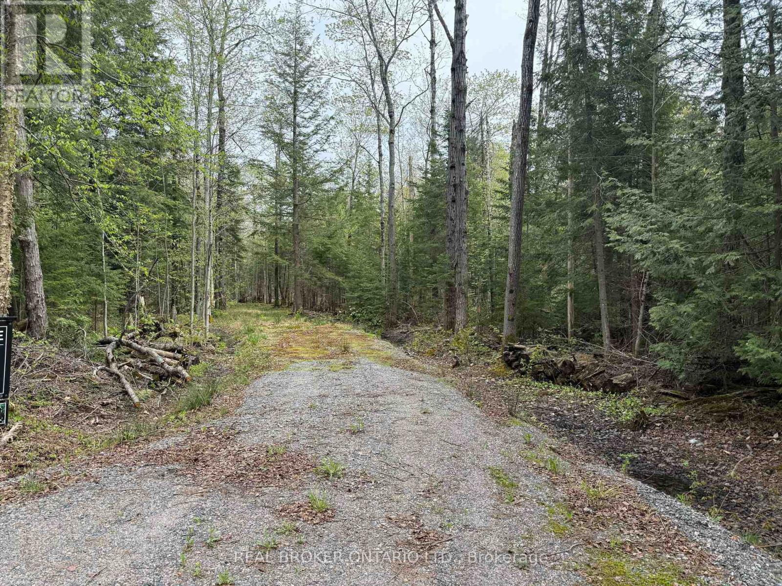 0 Bear Cave Road, Muskoka Lakes, Ontario  P0C 1J0 - Photo 6 - X12589582