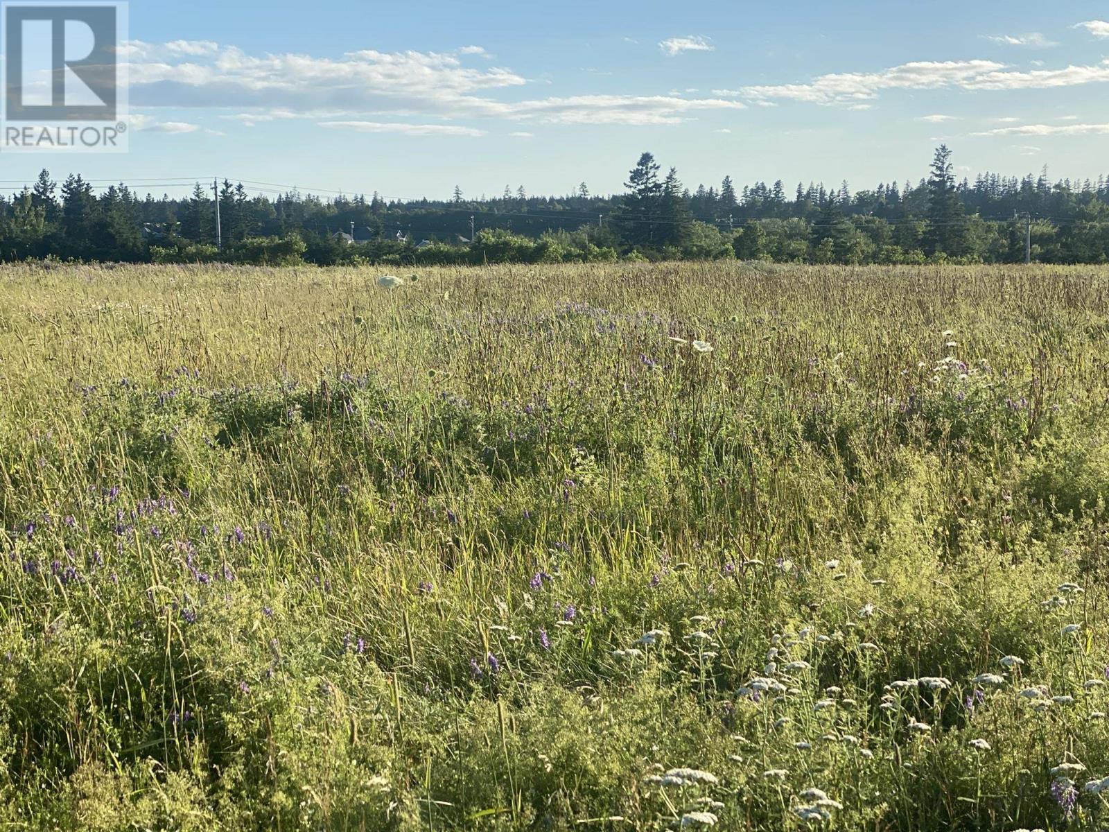 15 Rose Lane, Stanley Bridge, Prince Edward Island C0A 1E0 - Photo 15 - 202601480