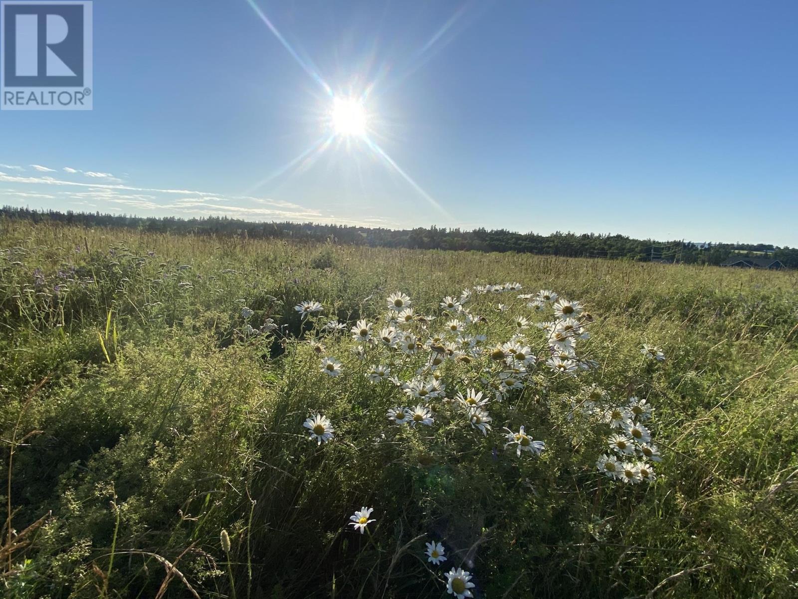 15 Rose Lane, Stanley Bridge, Prince Edward Island C0A 1E0 - Photo 8 - 202601480