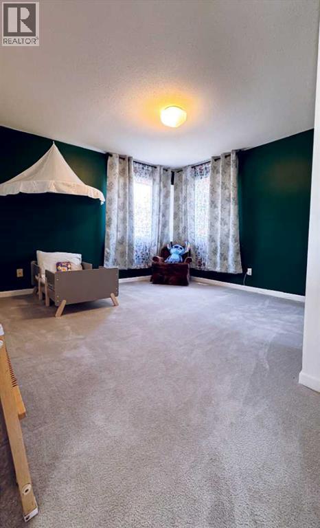 10010 89 Street Nw, Peace River, Alberta  T8S 1N8 - Photo 20 - A2260998