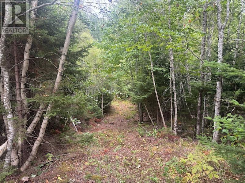 420 Highway 246, Wentworth, Nova Scotia  B0M 1Z0 - Photo 46 - 202601481